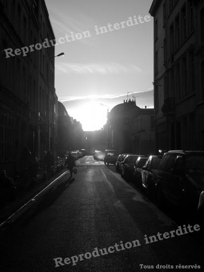 4986 - Contre-jour