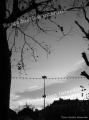 5016 - Place publique