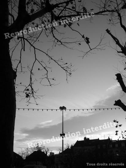 5016 - Place publique